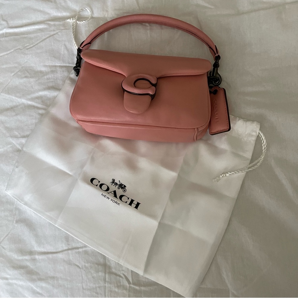 Coach pillow tabby 18